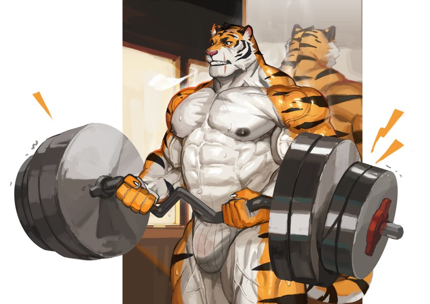 abs anthro bodily_fluids bulge clothing fur male muscular muscular_anthro muscular_male nipples pecs solo sweat tail underwear vein veiny_muscles white_body white_fur traver009 coach_ho felid mammal pantherine tiger absurd_res digital_media_(artwork) hi_res