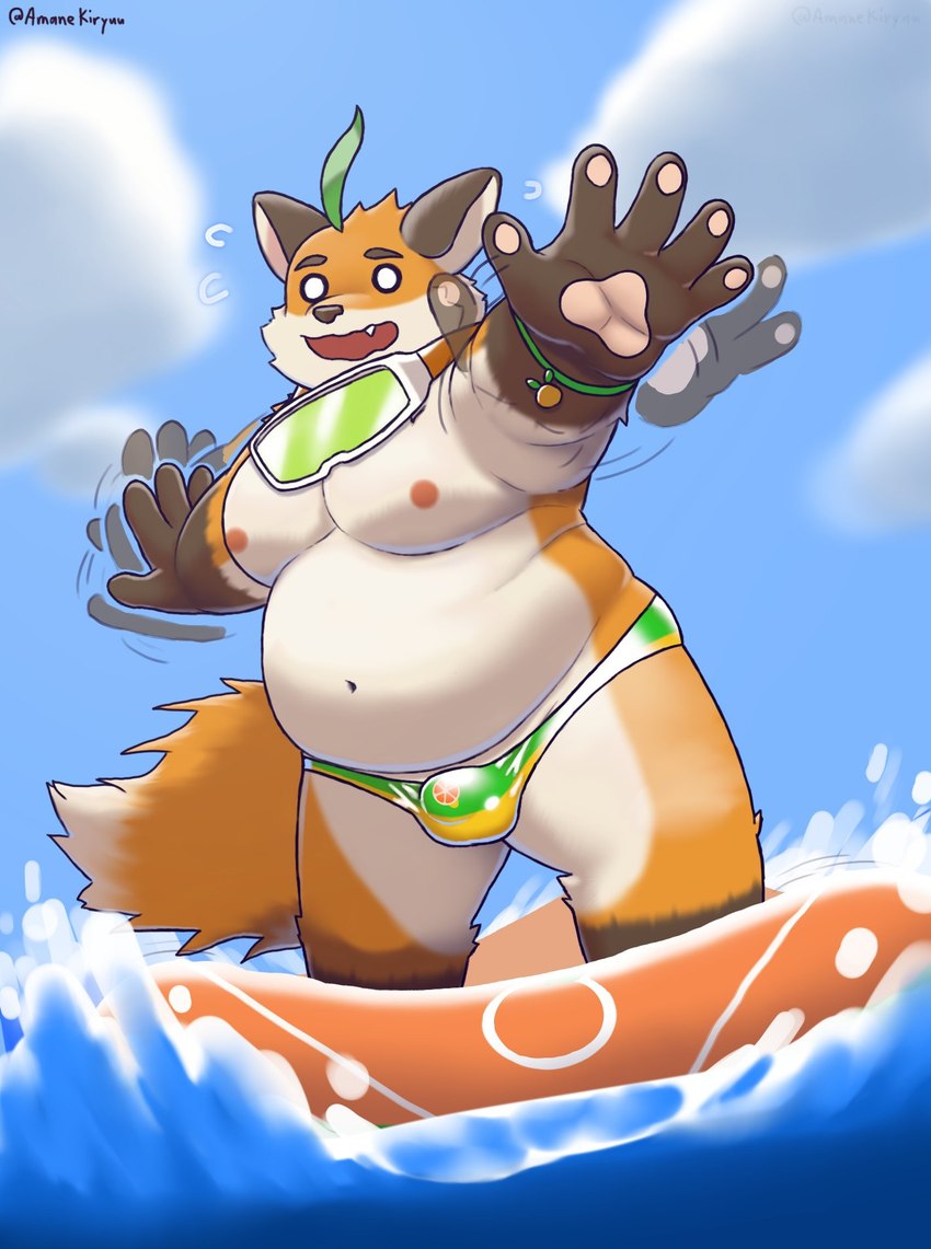 anthro belly bulge clothing fur male moobs navel nipples orange_body orange_fur overweight overweight_male panicking solo speedo surfing swimwear amanekiryuu tamacolle iyo_(tamacolle) canid canine fox mammal hi_res