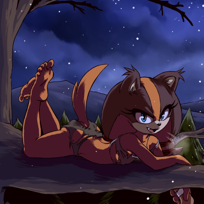 sticks the jungle badger (sonic the hedgehog (series) and etc) created by plagueofgripes