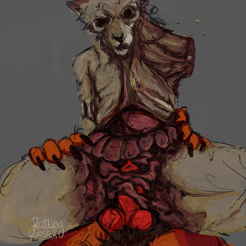 animal_genitalia animal_penis anthro canine_genitalia canine_penis corpse death duo fur genitals guts intestines knot male necrophilia orange_body orange_fur organs penis sadism severed_arm severed_body_part severed_limb sex snuff puppy_meats rottingxrooster rooster_(rottingxrooster) canid canine canis domestic_dog felid feline mammal hi_res