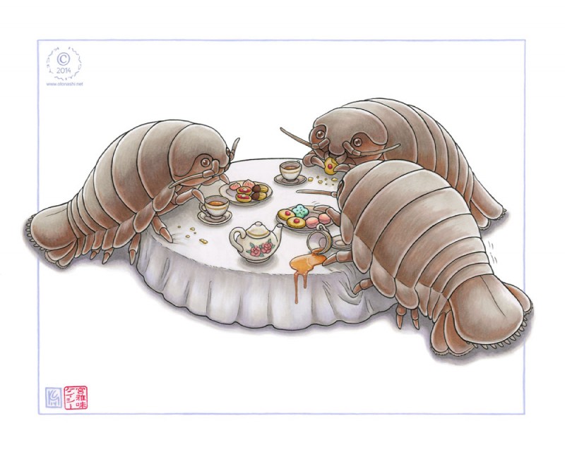 ambiguous_gender beverage brown_carapace brown_eyes container cookie cup eating feral food furniture group holding_food holding_object macaron_(food) nude plate simple_background table tablecloth tea tea_cup tea_party teapot white_background kacey arthropod crustacean giant_isopod isopoda malacostracan marine 2014 detailed