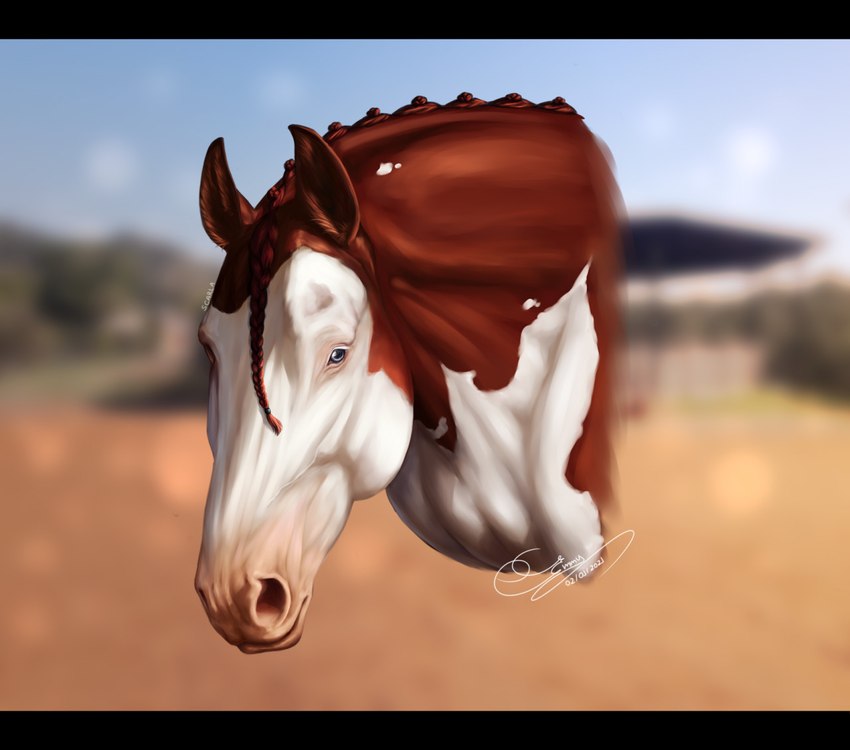 ambiguous_gender black_bars blue_eyes blurred_background braided_mane brown_body brown_mane empty_eye_socket feral looking_at_viewer mane mouth_closed realistic solo white_body scarlanya scarla_(scarlanya) equid equine horse mammal detailed letterbox signature female_(lore)