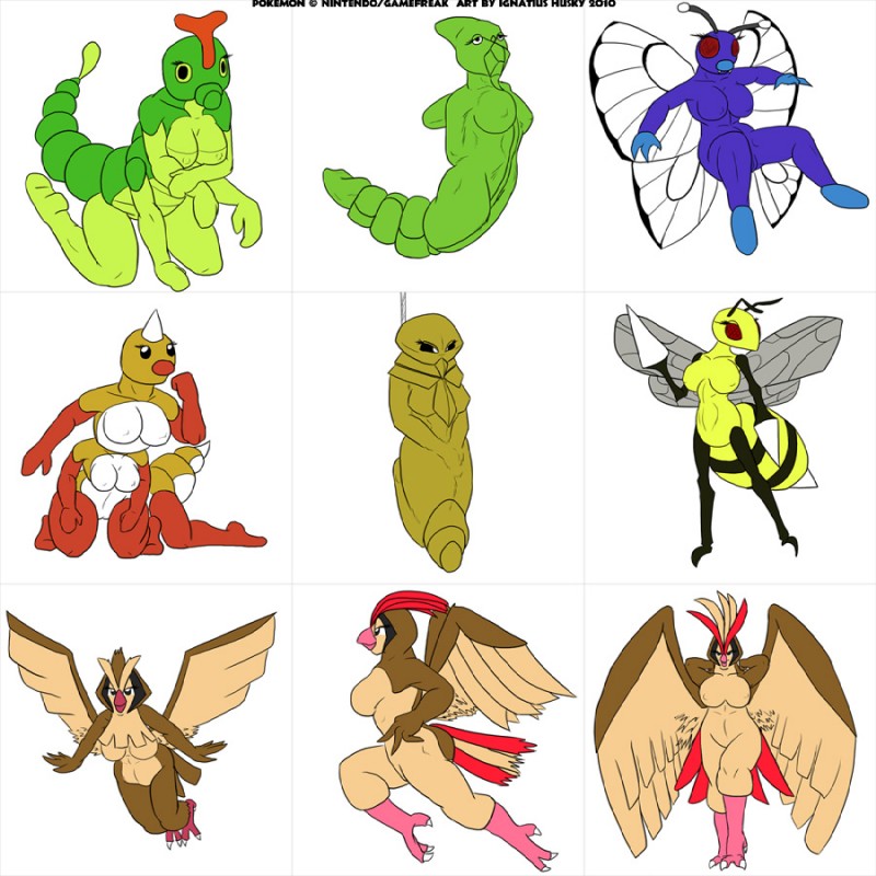 3_toes 4_breasts antennae_(anatomy) anthro anthrofied beak big_breasts black_eyes black_sclera breasts butt claws eyelashes feathered_wings feathers feet female flying genitals group hair hands_behind_head horn insect_wings looking_at_viewer multi_breast multi_nipple nipples non-mammal_breasts nude open_mouth pussy red_eyes simple_background smile standing toe_claws toes white_background white_eyes wings yellow_sclera ignatius_husky nintendo pokemon arthropod arthropod_taur avian beedrill butterfree caterpie generation_1_pokemon human_taur humanoid_taur hymenopteran insect kakuna lepidopteran metapod pidgeot pidgeotto pidgey pokemon_(species) taur weedle 1:1 2010