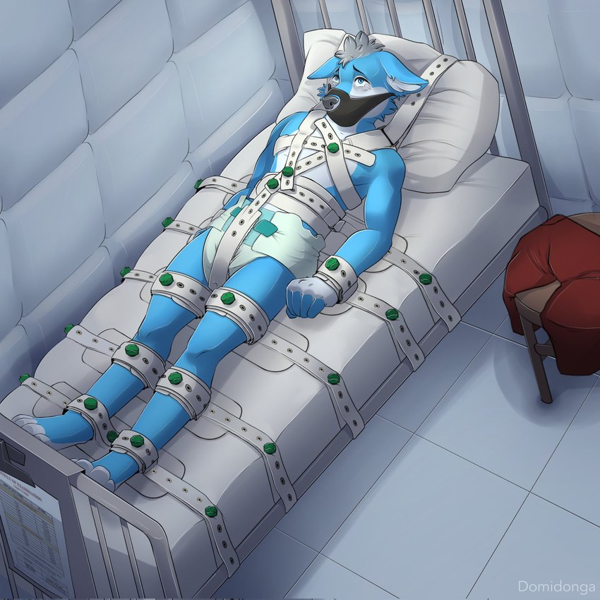 anthro bdsm bed bed_bondage belt_restraints bodily_fluids bondage bound clothed clothing diaper furniture genital_fluids hospital hospital_bed legs_together male medical medical_restraints muzzle_(object) muzzled padded_room padded_walls restrained restraints segufix solo tears unclean_diaper urine used_diaper wearing_diaper wet wet_diaper wetting whining domidonga thiritin canid canine canis mammal wolf 1:1 hi_res