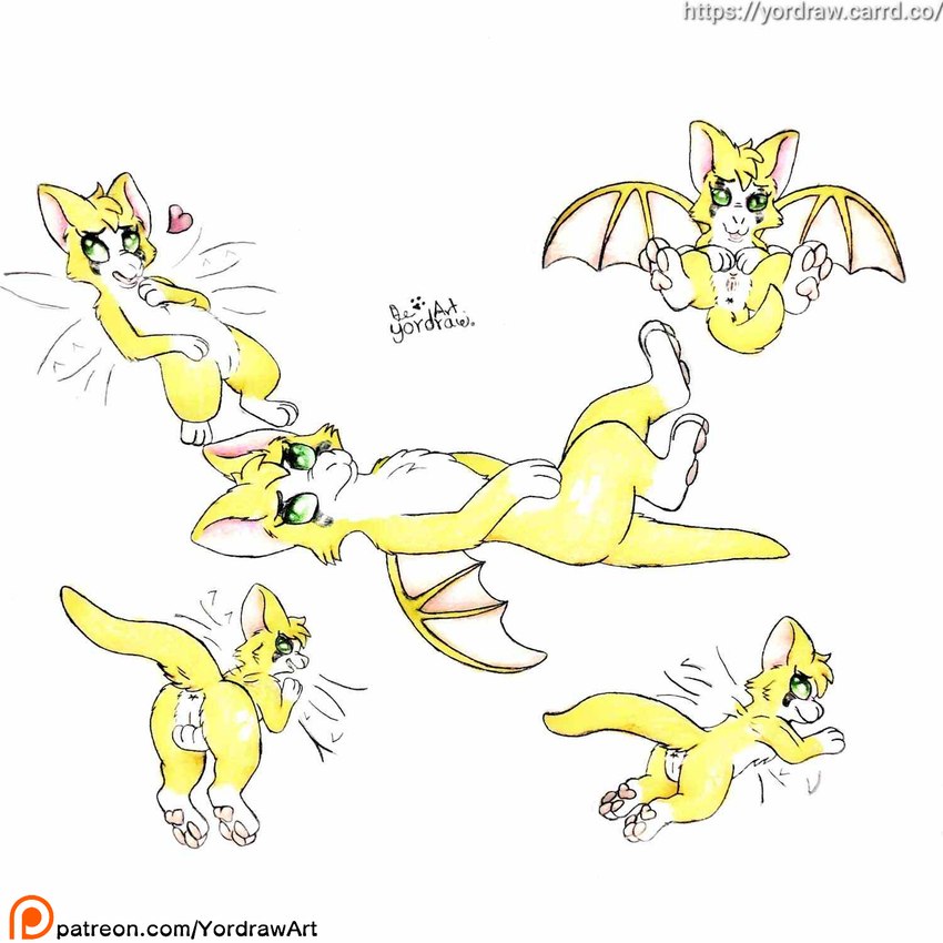 anus ass_up belly butt butt_focus crotch_lines feet female feral flying foot_fetish foot_focus fur genitals grabbing_belly grabbing_pussy green_eyes hindpaw legs_in_air legs_up lying on_back open_mouth open_smile patreon_exclusive patreon_username pawpads paws pink_pawpads pink_pussy presenting presenting_crotch presenting_hindquarters presenting_pussy pussy satisfaction smile solo spread_legs spreading text wings yellow_body yellow_fur yordraw dust:_an_elysian_tail fidget_(elysian_tail) bat felid feline hybrid mammal nimbat 1:1 hi_res sketch traditional_media_(artwork) url