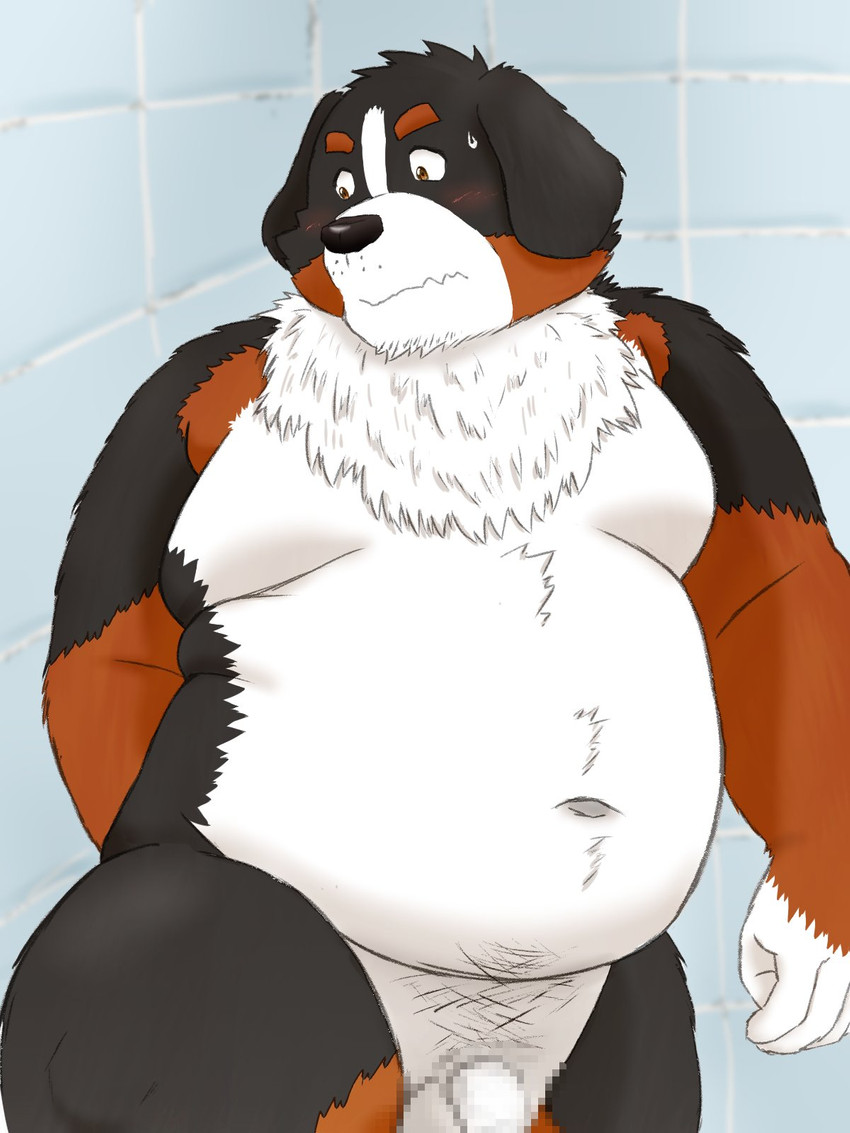 anthro balls belly black_body black_fur black_nose blush brown_body brown_fur buried_penis flaccid fur genitals humanoid_genitalia humanoid_hands humanoid_penis inside kemono male moobs navel overweight overweight_anthro overweight_male penis solo white_body white_fur yaki_atsuage bernese_mountain_dog canid canine canis domestic_dog mammal molosser mountain_dog swiss_mountain_dog 2021 3:4 censored hi_res mosaic_censorship