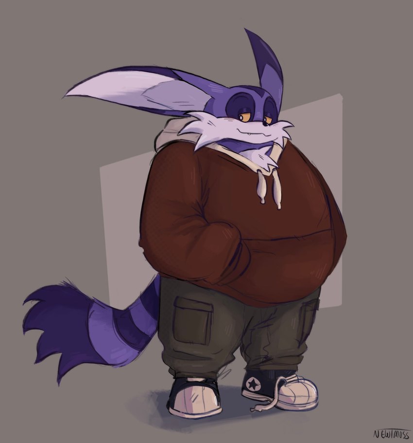 anthro clothing footwear fur hand_in_pocket hoodie male overweight overweight_male pockets purple_body purple_fur shoelaces shoelaces_untied shoes sneakers solo topwear yellow_eyes newtmoss sega sonic_the_hedgehog_(series) big_the_cat domestic_cat felid feline felis mammal hi_res