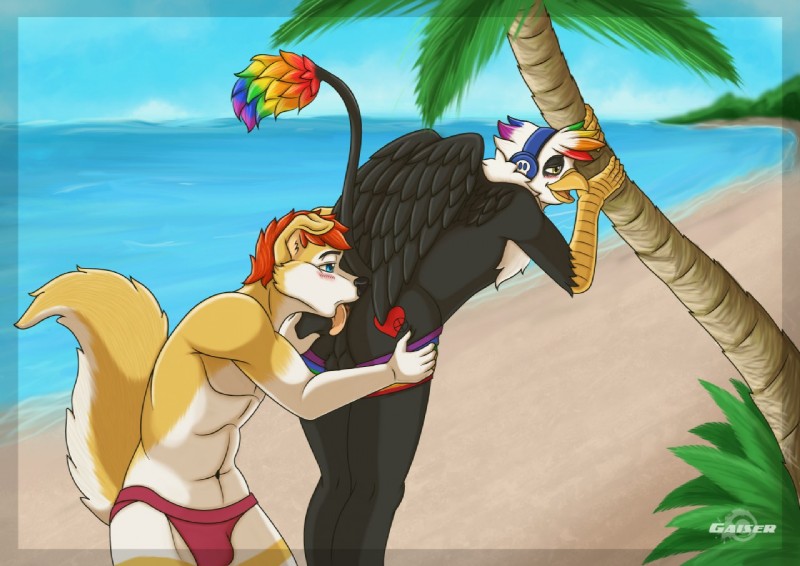 anal anthro backsack balls beach beak bent_over big_tail black_body black_feathers blue_sky brown_body brown_fur clothed clothing day detailed_background duo electronics feathered_wings feathers femboy fluffy fluffy_tail fur genitals headphones heart_symbol jockstrap male male/male male_penetrated male_penetrating male_penetrating_male multicolored_body multicolored_feathers multicolored_fur oral outside palm_tree penetration perineum plant rimming sand sea seaside sex sex_on_the_beach skimpy sky standing tail tree two_tone_body two_tone_fur underwear water white_body white_feathers white_fur wings gaiser mythology rey_(dogrey) skoop avian canid canine fox gryphon leoketsal mammal mythological_avian mythological_creature 2015 digital_media_(artwork)