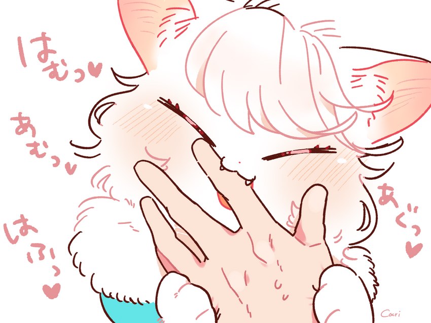 5_fingers ambiguous_gender anthro bangs bite blush bodily_fluids cheek_tuft clothing cute_fangs duo eyelashes eyes_closed facial_tuft fangs female female/ambiguous female_anthro finger_bite finger_in_mouth fingers fur hair hand_holding heart_symbol inner_ear_fluff kemono nom open_mouth pink_nose short_hair simple_background sweat sweatdrop teeth text tuft wavy_hair white_background white_body white_fur white_hair white_skin cocri princess_koyuki_(cocri) domestic_cat felid feline felis humanoid mammal japanese_text signature