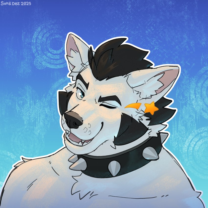 anthro black_hair collar flirting flirting_look fur hair looking_at_viewer male narrowed_eyes one_eye_closed open_mouth simple_background smile solo spiked_collar spikes star teeth tongue white_body white_fur wink winking_at_viewer soraawoolf langdon_marston canid canine canis domestic_dog husky mammal nordic_sled_dog spitz 1:1 hi_res