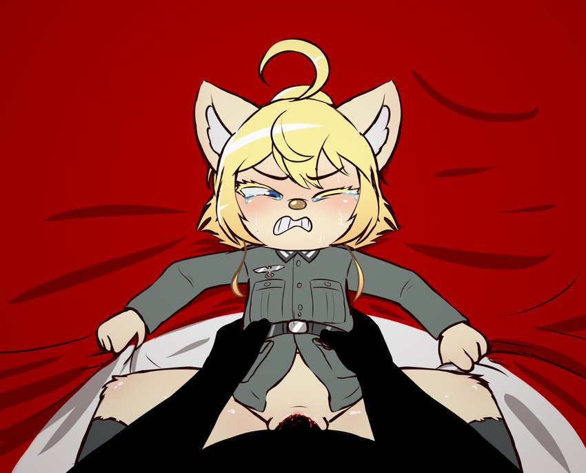 ahoge anthro blood blood_on_penis bodily_fluids bottomless bottomless_anthro bottomless_female clenched_teeth clitoris clothed clothing defloration duo female genitals grabbing_sheets hair large_penetration loli male male/female nazi nazi_uniform pain penetration penis pussy questionable_consent sex spreading swastika tears teeth vaginal vaginal_penetration young young_anthro young_female e254e youjo_senki tanya_degurechaff domestic_cat felid feline felis mammal absurd_res hi_res