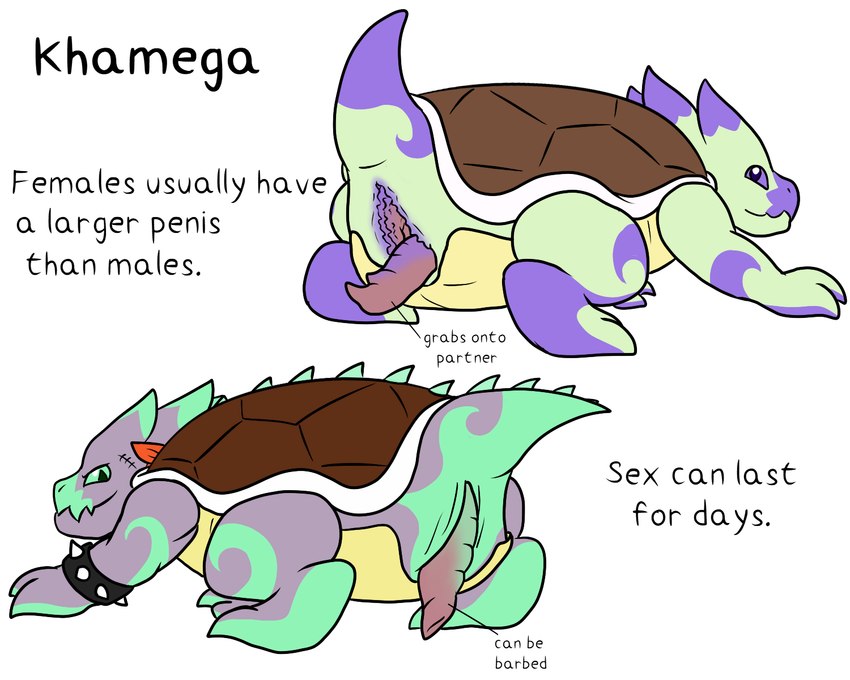 all_fours annotated anthro bracelet diagram duo female genitals green_body green_scales jewelry lore male multicolored_body multicolored_scales presenting purple_body purple_scales scales scar schematic spiked_bracelet spikes spikes_(anatomy) text unusual_anatomy unusual_genitalia worldbuilding sandentwins slightly_damned khamega reptile scalie turtle 5:4 english_text hi_res