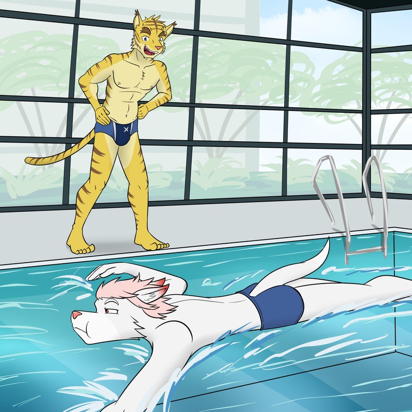 alternate_species anthro barefoot blue_clothing blue_speedo blue_swimwear bulge clothed clothing duo feet fur furrification hair male navel nipples pink_hair poolside speedo speedo_only swimming swimming_pool swimwear topless white_body white_fur fuze morenatsu morenatsu_homecoming hiroyuki_(morenatsu) torahiko_(morenatsu) arctic_fox canid canine felid fox mammal pantherine tiger true_fox 1:1 hi_res