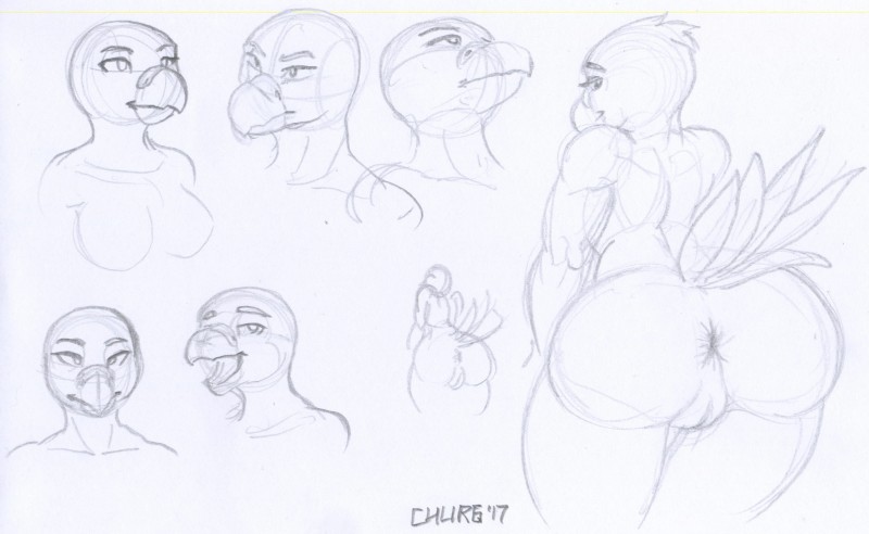 anthro anus butt crossgender female genitals looking_back nude open_mouth presenting pussy simple_background solo standing text white_background churgethoth delta_conure avian bird parakeet parrot true_parrot 2017 english_text hi_res monochrome sketch sketch_page