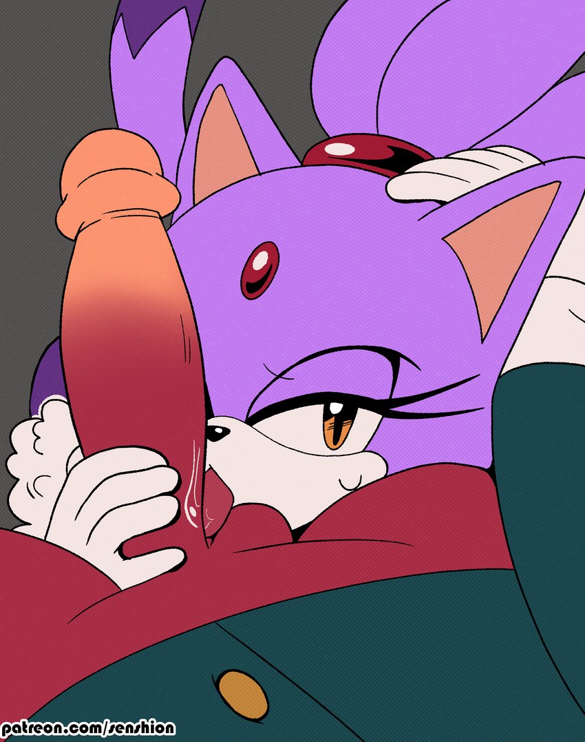 anthro balls bottomless clothed clothing duo female fur genitals gloves handwear licking male male/female oral penile penis penis_lick purple_body purple_fur red_body red_fur sex tongue tongue_out white_body white_fur senshion sega sonic_the_hedgehog_(series) the_murder_of_sonic_the_hedgehog barry_(sonic) blaze_the_cat domestic_cat felid feline felis macropod mammal marsupial quokka 2023 absurd_res hi_res