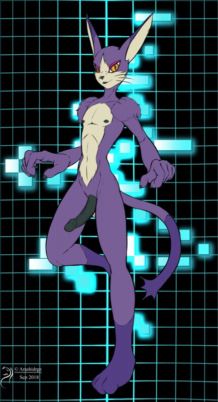 anthro big_penis black_penis erection fur genitals male nipples nude penis purple_body purple_fur solo yellow_eyes arashidrgn .hack cyberconnect2 mia_(.hack) domestic_cat felid feline felis mammal 2018 hi_res