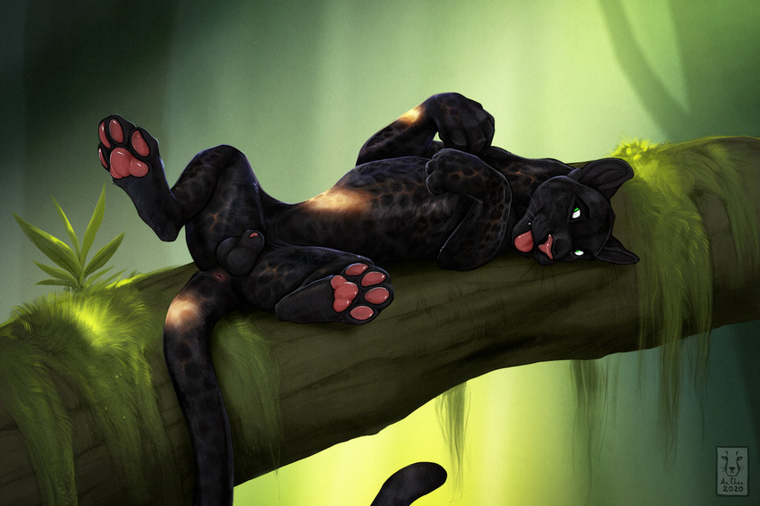 4_fingers 4_toes anatomically_correct anatomically_correct_genitalia animal_genitalia animal_penis anus balls black_body black_fur blep feet feline_genitalia feline_penis feral fingers fur genitals green_background hindpaw legs_up log lying male markings moss on_back open_mouth pawpads paws penis penis_tip pink_nose pink_pawpads plant presenting sheath simple_background smile solo spots spotted_body spotted_fur spread_legs spreading tail tail_anus teeth toes tongue tongue_out whiskers wood anchee shadowpanther felid mammal pantherine 2020 absurd_res digital_media_(artwork) hi_res