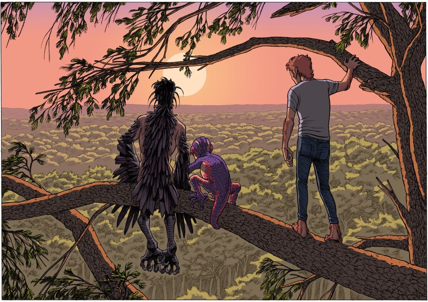 anthro avian_feet barefoot black_body black_feathers claws clothed clothing feathers feet female feral forest group in_tree male mid_transformation nude outside plant scales sitting sun sunset tail tail_feathers transformation tree trio frederik_peeters the_animal_kingdom_(film) ambiguous_species avian bird corvid corvus_(genus) crow human lizard mammal oscine passerine reptile scalie hi_res