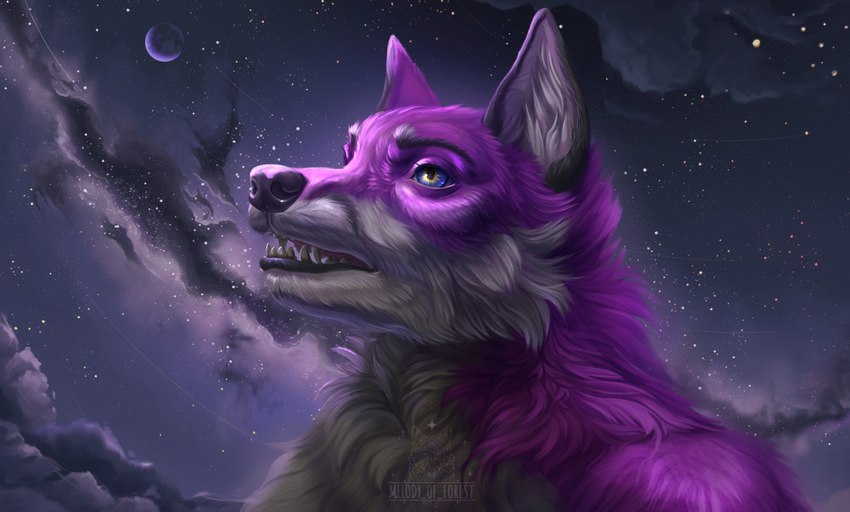 ambiguous_gender anthro cloud moon night sky solo star starry_sky melodyofforest canid canine canis mammal wolf