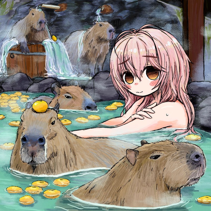 amazing_background ambiguous_gender bathing daww detailed_background displacement female feral food fruit group hot_spring nude plant water what yuzu_(fruit) bubbacterial kimi_to_kanojo_to_kanojo_no_koi mukou_aoi_(totono) capybara caviid human mammal rodent 1:1 detailed hi_res icon