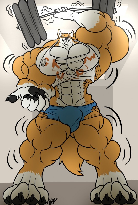 anthro big_muscles bulge clothed clothing exercise huge_muscles hyper hyper_muscles looking_at_viewer male muscular muscular_anthro muscular_male solo standing tight_clothing torn_clothing weightlifting workout eda canid canine mammal hi_res