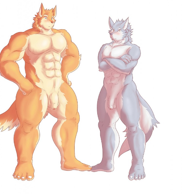 5_fingers 5_toes abs anthro balls blue_eyes blush brown_nose comparing comparing_muscles comparing_penis crossed_arms duo feet fingers flaccid foreskin fur genitals grey_body grey_fur grey_nose hands_on_hips humanoid_genitalia humanoid_penis looking_at_genitalia looking_at_penis male multicolored_body multicolored_fur nude open_mouth orange_body orange_fur pecs penis plantigrade simple_background standing surprise tan_body tan_fur toes two_tone_body two_tone_fur white_background white_body white_fur yellow_eyes hati-skm hati_(hati-skm) skoll_(hati-skm) canid canine canis mammal wolf 2015 alternate_version_at_source hi_res