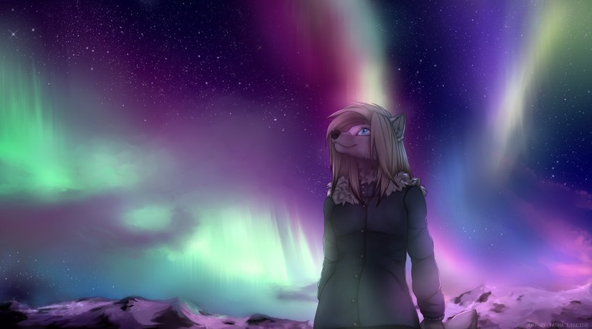 anthro aurora_(phenomenon) black_clothing black_jacket black_nose black_topwear blue_eyes clothing female fur grey_body grey_fur hair jacket mountain multicolored_body multicolored_fur night sky smile solo star starry_sky tan_hair topwear two_tone_body two_tone_fur white_body white_fur tashalisets koul_fardreamer canid canine canis mammal wolf