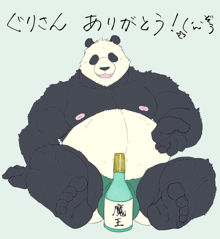 anthro belly beverage big_belly black_body black_nose bulge clothing detailed_bulge kemono male moobs nipples overweight overweight_male simple_background sitting solo text underwear g_atmosphere bear giant_panda mammal 2022 hi_res japanese_text