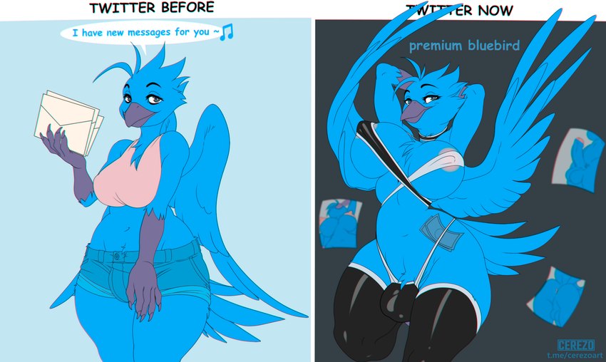 anthro anus areola balls big_breasts blue_body blue_fur breasts bulge butt clothed clothing fur genitals gynomorph intersex latex latex_clothing nipples penis photo solo cerezo twitter x_(social_media) x_corporation tweetfur avian bird 2024 digital_media_(artwork) hi_res meme