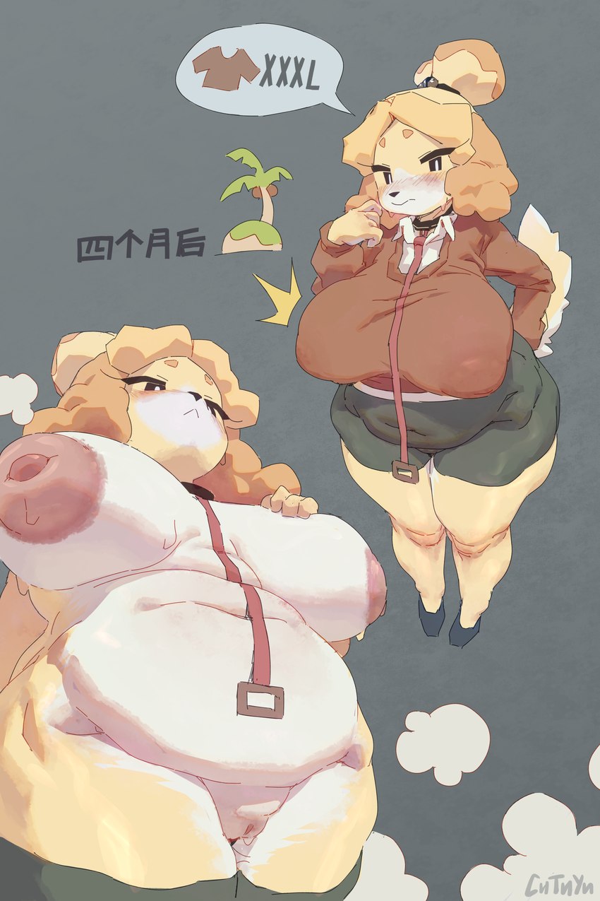 anthro big_breasts blush bodily_fluids breasts clothed clothing coconut collar collared_shirt drupe_(fruit) female food fruit genitals hand_on_breast high-angle_view huge_breasts leash leashed_collar low-angle_view mostly_nude nipple_outline overweight overweight_female palm_tree plant pussy small_clothing solo speech_bubble sweat text tree weight_gain wide_hips cha_tuo_yan animal_crossing nintendo isabelle_(animal_crossing) canid canine canis domestic_dog mammal absurd_res chinese_text comic hi_res translated