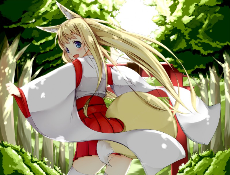 :d asian_clothing blonde_hair blue_eyes blush clothing detailed_background east_asian_clothing female forest hair japanese_clothing legwear long_hair looking_at_viewer looking_back open_mouth outside plant rear_view smile solo tail thigh_highs torii tree wood jougen animal_humanoid humanoid mammal