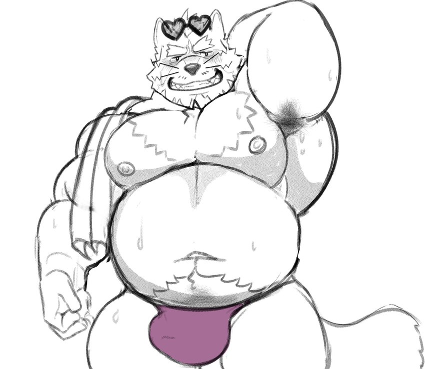 anthro armpit_hair belly blush bodily_fluids body_hair bulge clothing eyebrows grin heart_sunglasses male musclegut muscular navel nipples pecs smile solo speedo sweat swimwear thick_eyebrows towel mrookii lifewonders live_a_hero viscunam mammal procyonid raccoon hi_res line_art