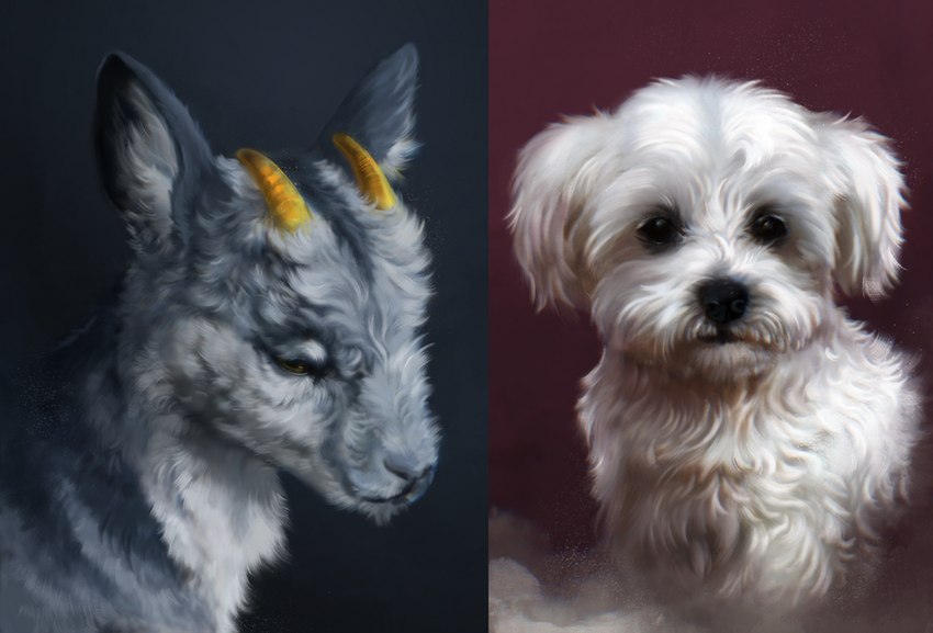 2_horns ambiguous_gender black_nose detailed_fur detailed_shading duo feral floppy_ears fluffy fur grey_body grey_fur horn inner_ear_fluff photorealism realistic realistic_anatomy realistic_lighting realistic_shading snout tuft white_body white_fur c1candy gold_dust_(ezpups) bovid canid canine canis caprine domestic_dog goat mammal detailed headshot_portrait portrait