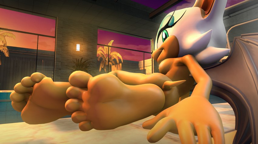 anthro breasts feet female foot_focus humanoid_feet nude plantigrade pool soles solo foot_ninja15 sega sonic_the_hedgehog_(series) rouge_the_bat bat mammal 3d_(artwork) digital_media_(artwork) hi_res source_filmmaker_(artwork)