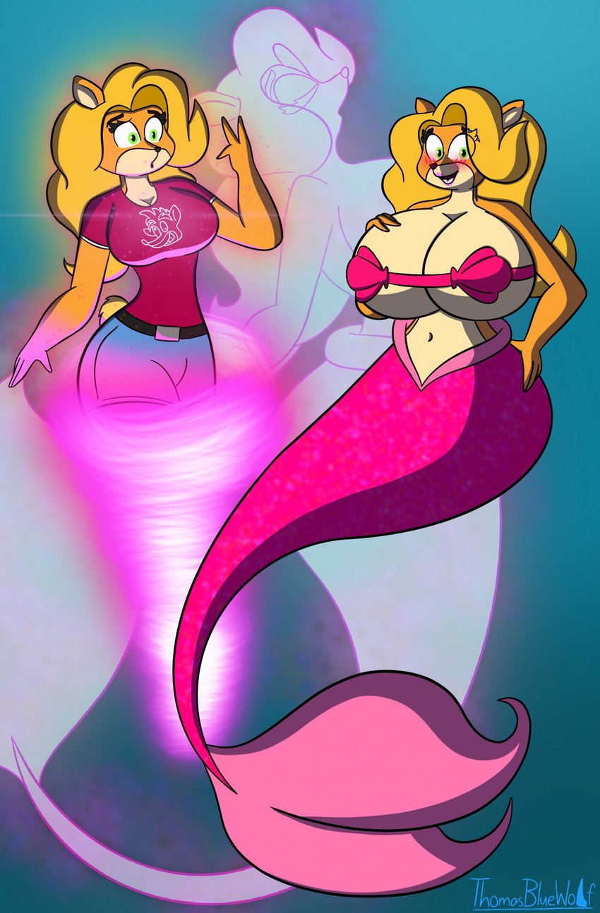 anthro big_breasts blonde_hair blush bra breast_expansion breasts clothing curvy_figure expansion female fur green_eyes hair mermaid_tail mermaidification multicolored_body multicolored_fur orange_body seashell_bra solo split_form tan_body tan_fur transformation underwater underwear vortex water wide_hips thomasbluewolf activision crash_bandicoot_(series) tawna_bandicoot bandicoot mammal marine marsupial merfolk hi_res