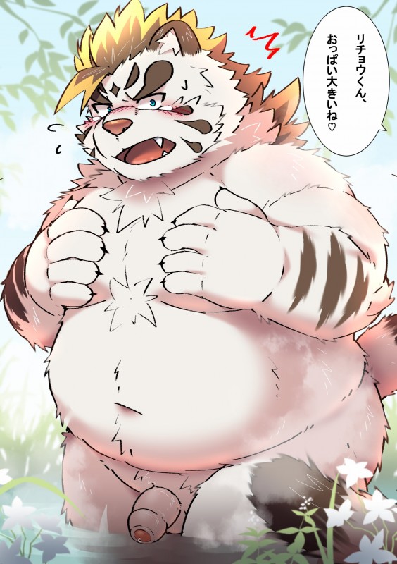 anthro balls bathing belly big_belly blue_eyes blush cute_fangs fangs genitals heart_symbol humanoid_genitalia humanoid_hands humanoid_penis male moobs outside overweight overweight_anthro overweight_male penis small_penis solo teeth text ptcmtr lifewonders tokyo_afterschool_summoners licho_(tas) felid mammal pantherine tiger 2019 absurd_res hi_res japanese_text translation_request