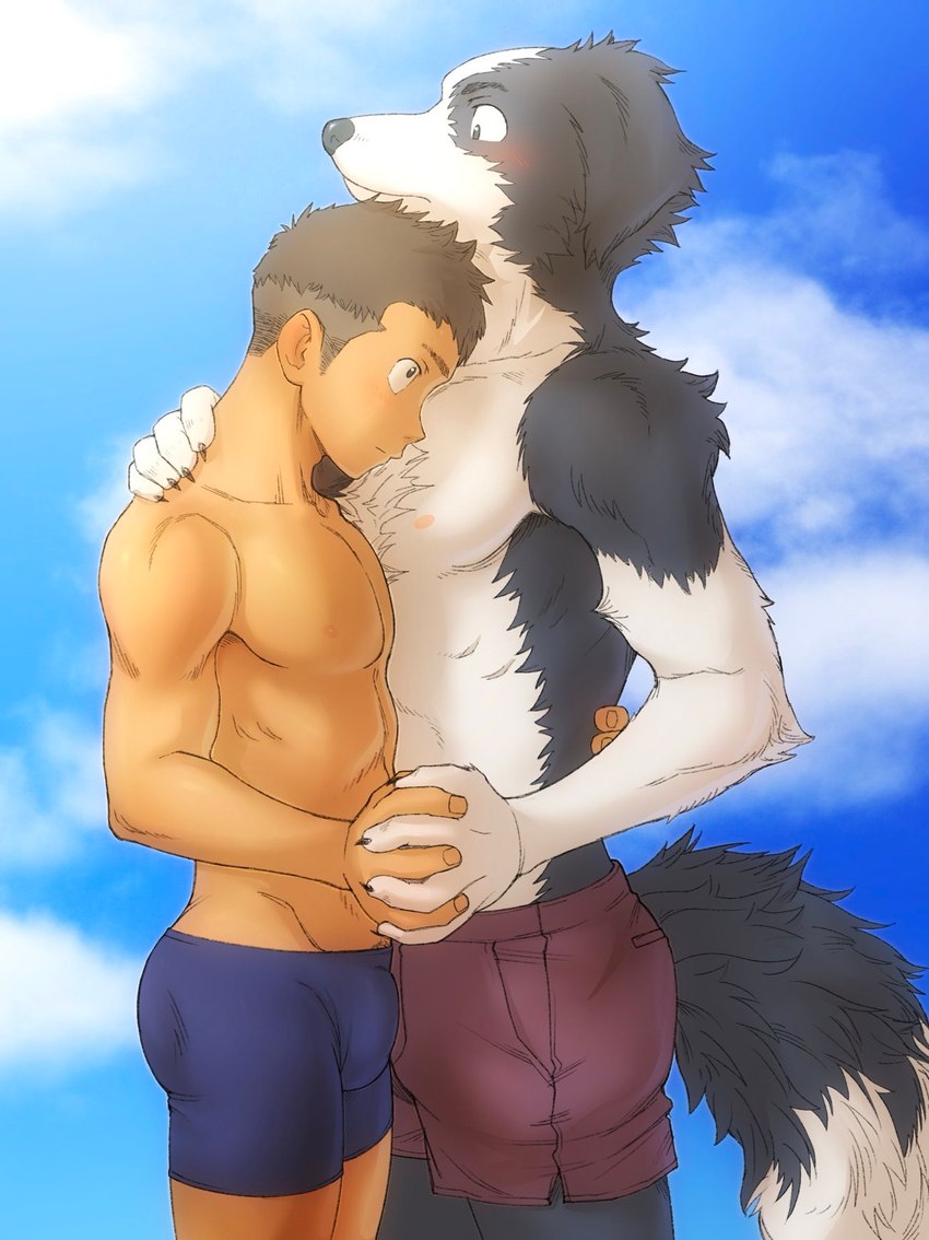 anthro big_muscles blush bottomwear bulge butt chest_tuft clothed clothing detailed_bulge duo floppy_ears fluffy fluffy_tail fur genital_outline hand_holding hug interspecies intimate kemono male male/male male_anthro male_human multicolored_body multicolored_fur muscular muscular_anthro muscular_human muscular_male penis_outline shorts sky_background tail tight_clothing topless topless_anthro topless_human topless_male tuft two_tone_body two_tone_fur underwear hanpei_tor torte border_collie canid canine canis collie domestic_dog herding_dog human mammal pastoral_dog sheepdog hi_res