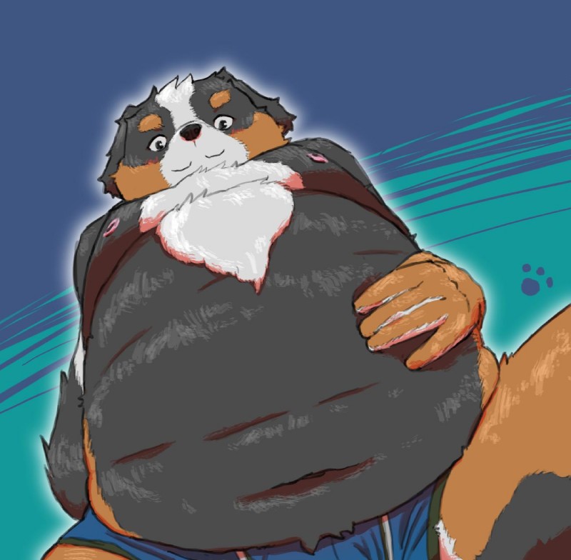 anthro belly blue_background clothing humanoid_hands male moobs navel nipples overweight overweight_anthro overweight_male simple_background solo underwear 7gaku_7 canid canine canis domestic_dog mammal 2019 hi_res