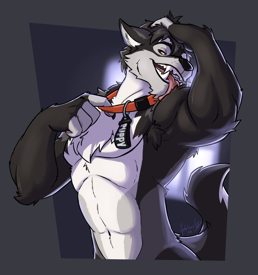 abs anthro black_body black_fur collar collar_pull fur licking looking_at_viewer male muscular muscular_male open_mouth self_lick solo tongue tongue_out white_body white_fur yellow_eyes gabrianne canid canine canis mammal wolf hi_res