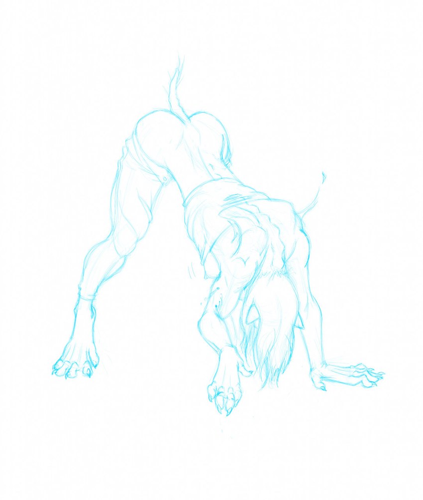ass_up bottomwear bottomwear_down breasts claws clothed clothing female feral fur fur_growth growth hair hanging_breasts long_hair loss_of_dexterity mid_transformation nipples pants pants_down partially_clothed quadruped side_boob simple_background sketchy solo tail tail_grab torn_clothing transformation white_background wwbot mythology canid canine humanoid mammal mythological_canine mythological_creature werecanid werecanine werecreature werewolf digital_drawing_(artwork) digital_media_(artwork) hi_res sketch
