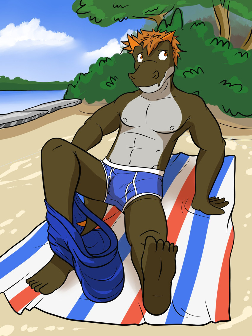 anthro anthrofied arm_support beach blue_clothing blue_underwear bottomwear bottomwear_down briefs bulge clothed clothing male navel nipples on_towel outside pants pants_down partially_clothed reclining seaside shorts solo topless towel two_tone_briefs underwear fuze nintendo pokemon cliff_(fuze) fossil_pokemon generation_6_pokemon pokemon_(species) tyrunt 3:4 hi_res