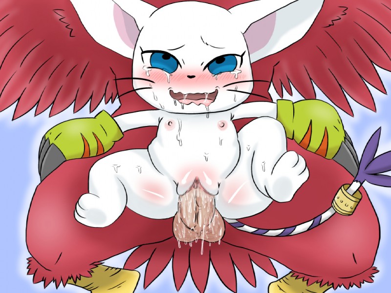 ahegao blue_eyes bodily_fluids claws clothing cum cum_in_pussy cum_inside duo erection feathers female female_focus female_penetrated fucked_silly fur genital_fluids genitals gloves handwear larger_male long_tail looking_pleasured male male/female male_penetrating male_penetrating_female nipples penetration penile penile_penetration penis penis_in_pussy pussy red_body red_feathers sex size_difference smaller_female smaller_penetrated solo_focus sweat tail tears vaginal vaginal_fluids vaginal_penetration whiskers white_body white_fur young denbukuro bandai_namco digimon aquilamon avian bird digimon_(species) falcon falconid felid gatomon mammal 4:3 censored