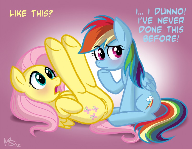 fluttershy and rainbow dash (friendship is magic and etc) created by megasweet