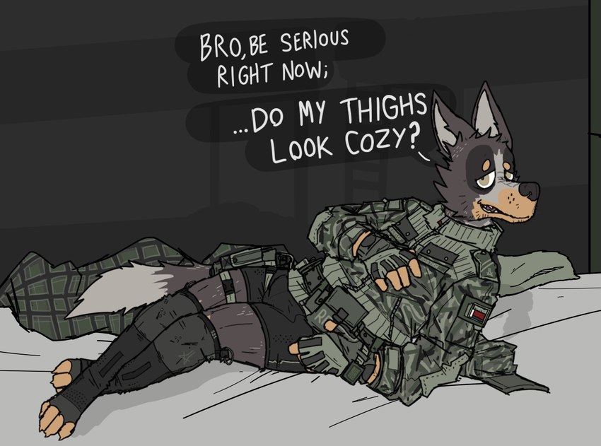 anthro arm_support athletic bed clothed clothing dialogue furniture gloves handwear holstered_pistol jacket leaning_on_elbow legs_cross long_socks male military_gear muscular muscular_thighs pantsless scruffy_beard smile smirk solo suggestive talking_to_viewer text topwear underwear uniform ricthecusco canid canine canis domestic_dog mammal english_text