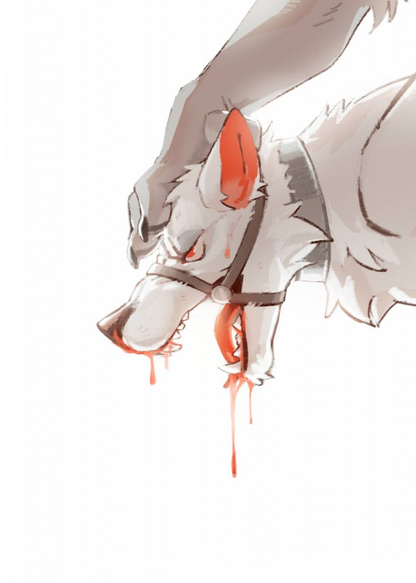 ambiguous_gender anthro black_nose blood blood_from_mouth blood_in_mouth bodily_fluids cheek_tuft chest_tuft duo faceless_ambiguous faceless_anthro faceless_character facial_tuft fangs fur glistening glistening_eyes grey_body grey_fur iron_collar male narrowed_eyes neck_tuft nosebleed nude red_eyes red_inner_ear red_tongue side_view simple_background solo_focus teeth tongue tuft unsigned white_background white_body white_fur asnnonaka canid canine canis mammal wolf hi_res