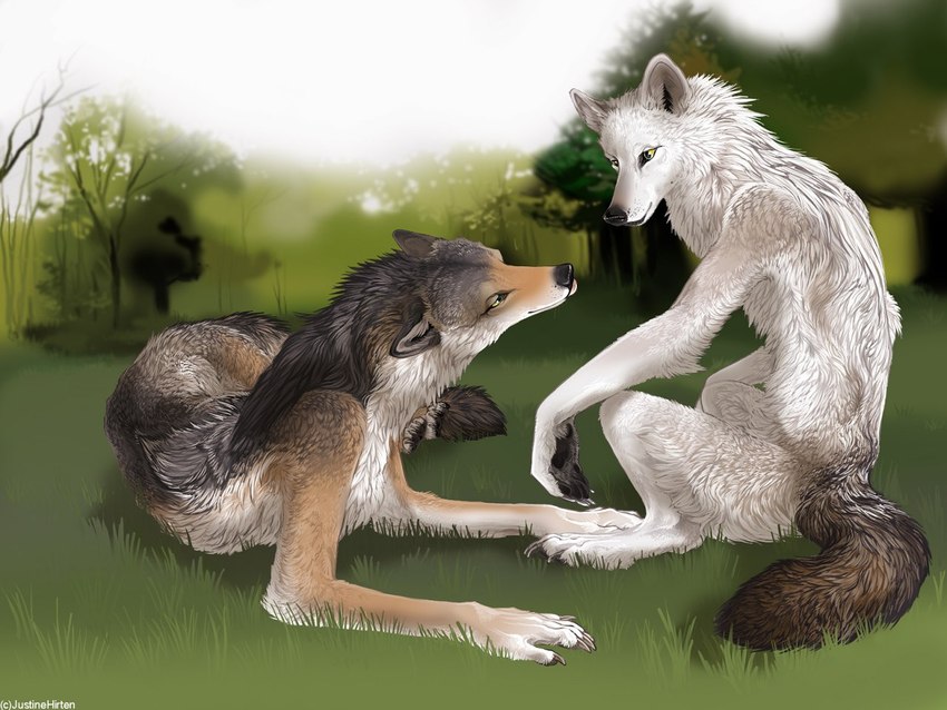 ambiguous_gender anthro brown_body brown_fur dark_tail detailed_fur duo eye_contact forest forest_background fur grass looking_at_another lying nature nature_background plant sitting smile tongue tongue_out tree white_body white_fur yellow_eyes sullivan canid canine canis mammal wolf 4:3 detailed