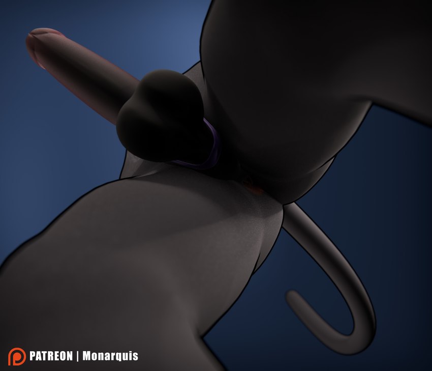 anthro anus balls genitals low-angle_view male nude_male penis simple_background solo monarquis romy_(monarquis) domestic_cat felid feline felis mammal 3d_(artwork) absurd_res digital_media_(artwork) hi_res