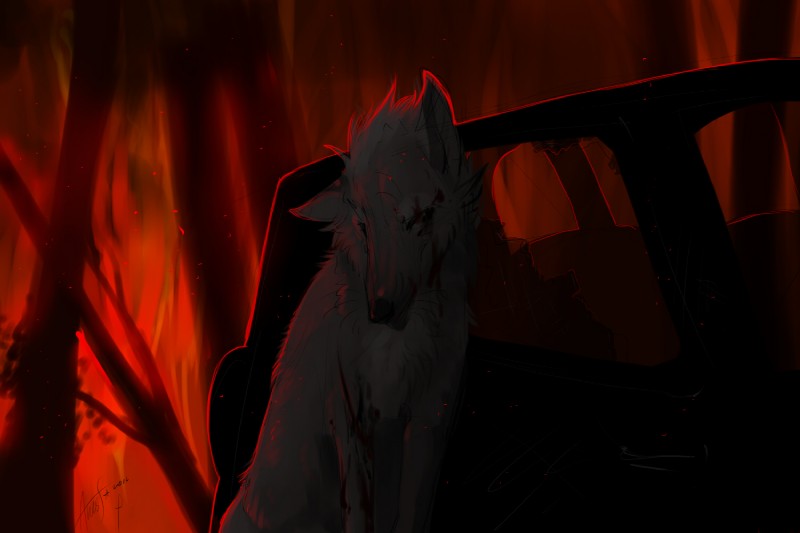 ambiguous_gender anthro black_nose blood bodily_fluids broken_glass car car_crash crash dark_nose feral fire forest_fire fur glass natural_disaster snout solo vehicle vehicle_crash year aviator canid canine canis domestic_dog mammal 2012 3:2 dark_theme signature