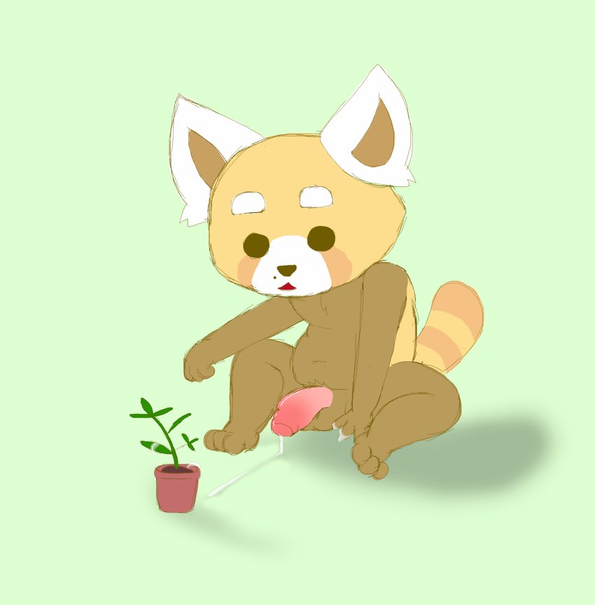 anthro balls bodily_fluids cum genital_fluids genitals male penis plant sitting solo fuzefurry aggretsuko sanrio resasuke ailurid mammal red_panda absurd_res hi_res