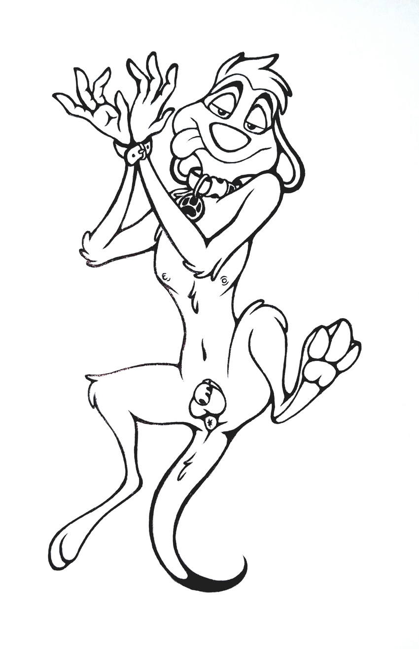 anthro balls bdsm bondage bound chastity_cage chastity_device collar genitals lying male on_back paws penis solo foxyhunter disney the_lion_king timon herpestid mammal meerkat absurd_res hi_res traditional_media_(artwork) male_(lore)